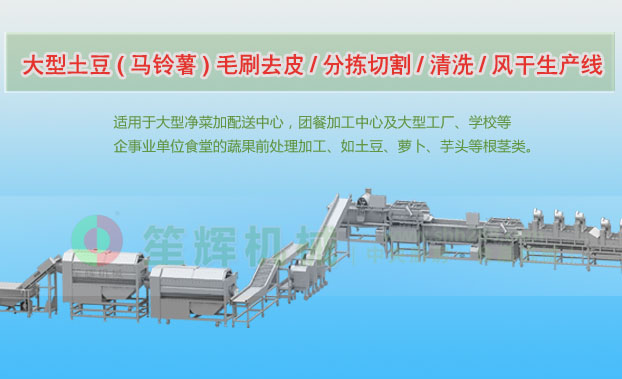 深州连续式土豆去皮清洗切割风干生产线